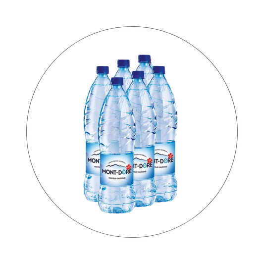 EAU DU MONT DORE - Eau / réf. AEX6